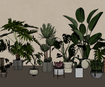 Modern Potted Green Plant-ID:815172912