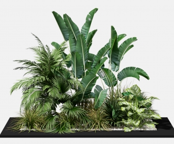 Modern Plant-ID:430299046