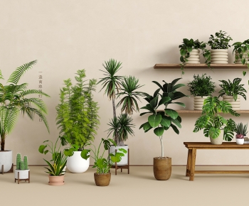 Modern Ground Green Plant Potted Plants-ID:143292904