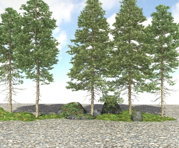 Modern Tree-ID:935920953