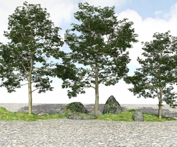 Modern Tree-ID:487272987