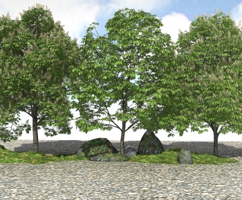 Modern Tree-ID:980067974