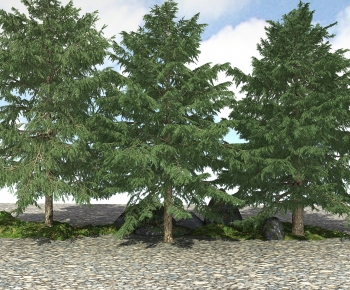 Modern Tree-ID:650417098