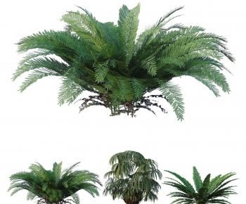 Modern Tree-ID:324398042