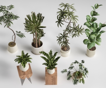 现代绿植盆栽组合-ID:887928968