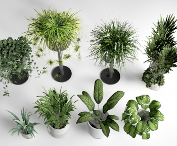 现代落地绿植盆栽组合-ID:854809059