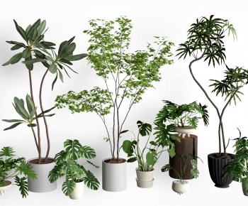 现代落地绿植盆栽组合-ID:358150045