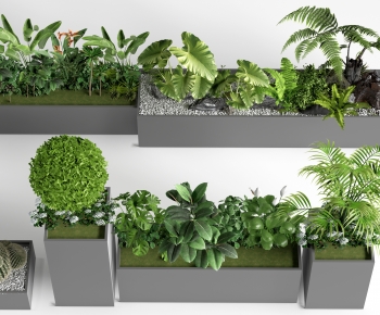 现代外摆绿植花箱组合-ID:601577043