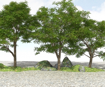 Modern Tree-ID:528115033