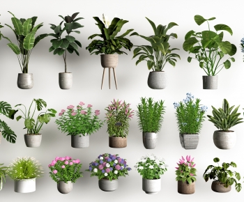 现代绿植盆栽组合-ID:626940018