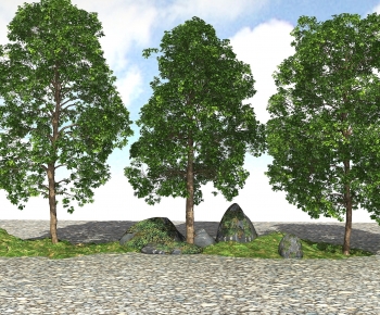 Modern Tree-ID:796732906