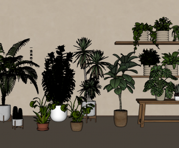 Modern Potted Green Plant-ID:287535919