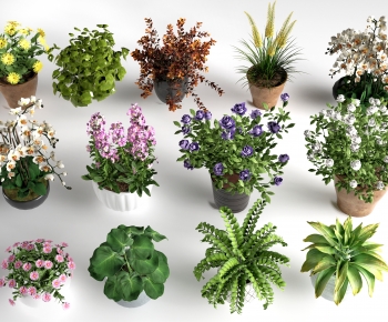 现代绿植盆栽组合-ID:766339065