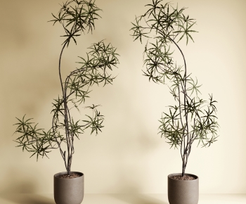 Modern Ground Green Plant Potted Plants-ID:705481052