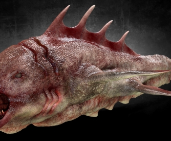Modern Aquatic Animals-ID:470276126