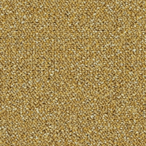 办公地毯-ID:568059926