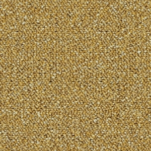ModernOffice Carpet