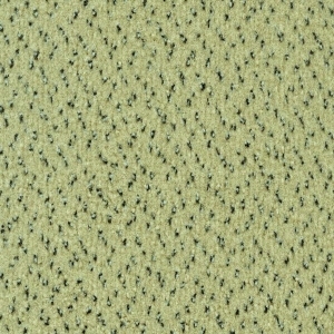 ModernOffice Carpet