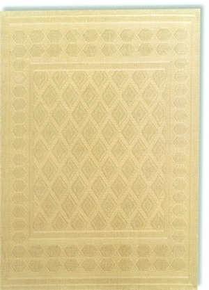 ModernModern Rug