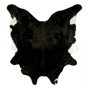 ModernAnimal Carpet