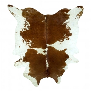 ModernAnimal Carpet