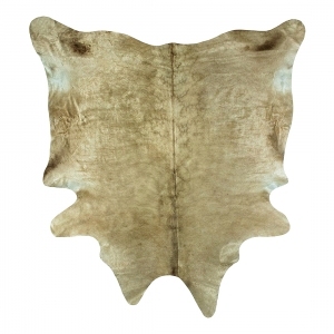 ModernAnimal Carpet