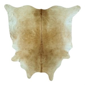ModernAnimal Carpet
