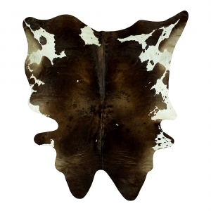 ModernAnimal Carpet