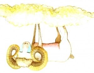 ModernChildren's Rug