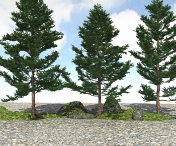 Modern Tree-ID:665467984