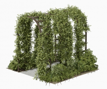 Modern Vine-ID:126938871