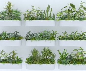 Modern Flower Bed, Flower Bowl, Flower Box-ID:884924894