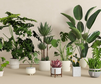 现代落地绿植盆栽组合-ID:121688852