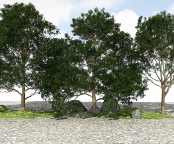 Modern Tree-ID:216558936