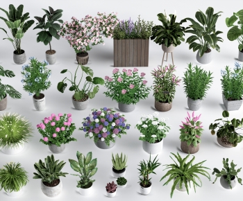 现代绿植盆栽组合-ID:214492082
