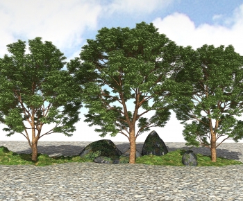 Modern Tree-ID:982598079