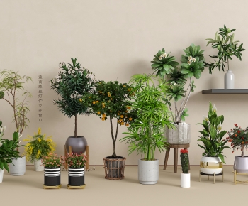 现代落地绿植盆栽组合-ID:677859849