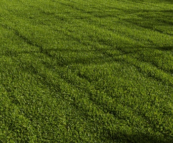 Modern The Grass-ID:852088939