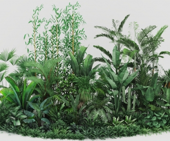 Modern Plant Pile-ID:457417012