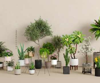 Modern Potted Green Plant-ID:633573063