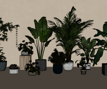 现代绿植盆栽组合-ID:166397097
