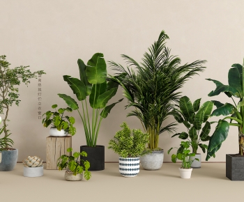 Modern Potted Green Plant-ID:207910572