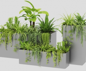 Modern Flower Bed, Flower Bowl, Flower Box-ID:888350042