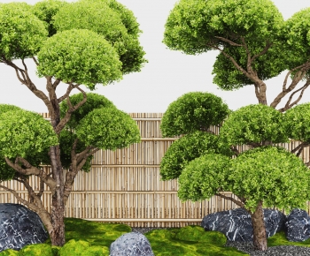 Modern Tree-ID:857109073