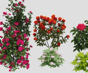 Modern Flowers And Grass-ID:685321093