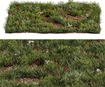 Modern The Grass-ID:642039899