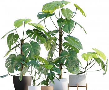 Modern Potted Green Plant-ID:463145029