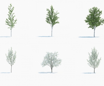 Modern Tree-ID:569242007