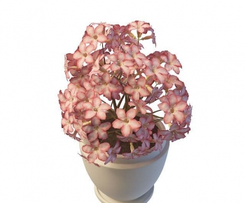 Modern Flowers-ID:354698909