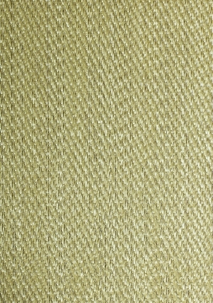 ModernOffice Carpet